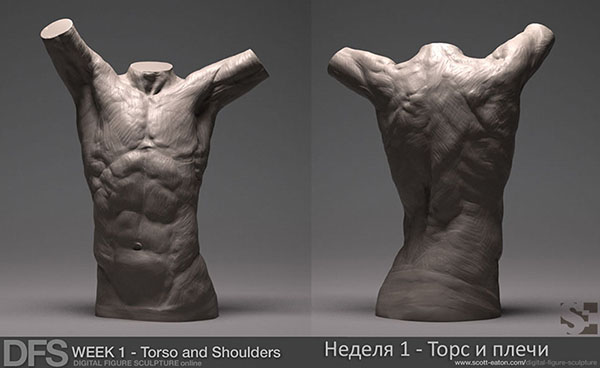 week1_torso_zbrush_1(600x4).jpg