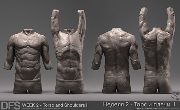 week2_torso2_zbrush_1(600x3).jpg