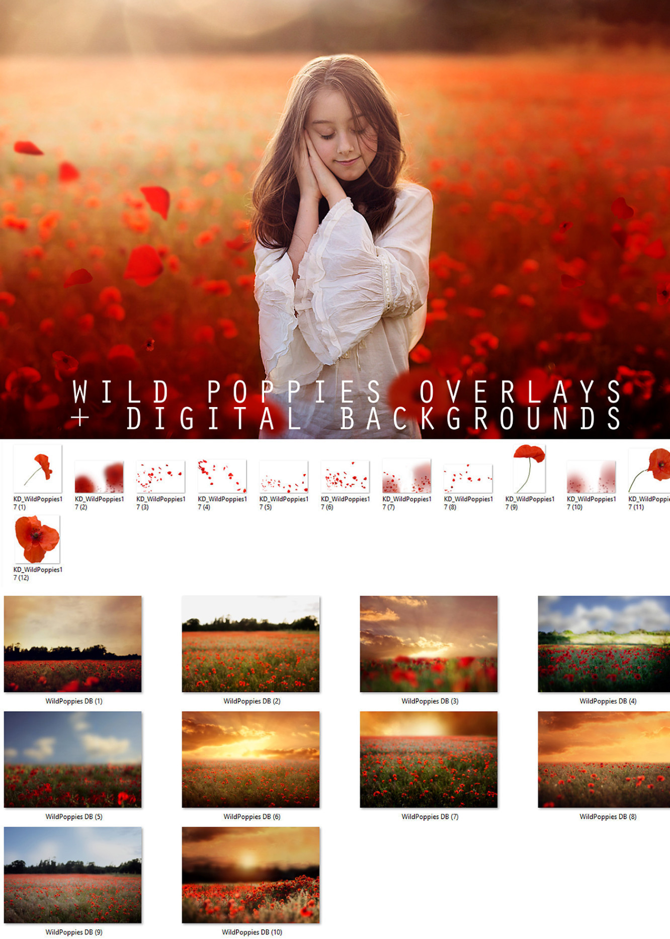 Wild_Poppies_Overlays_Free_Digital_Backgrounds_2.jpg