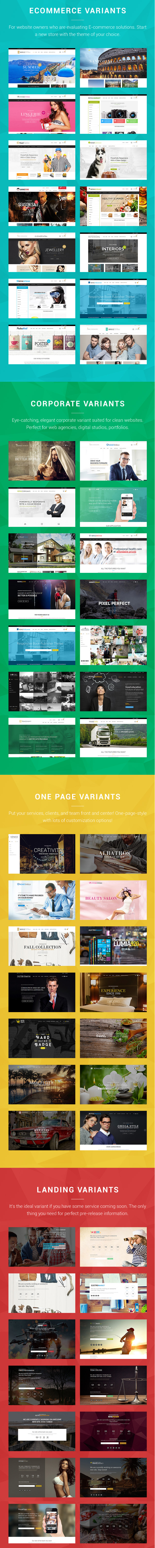 WordPress - Royal - Multi-Purpose Wordpress Theme   ThemeForest.png