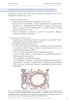 Демо Гистология_Страница_5.jpg