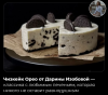 Копия Новый рисунок (20).png