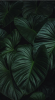 2025-03-09_225509.png
