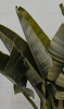 2025-03-09_225535.png
