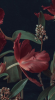 2025-03-09_225614.png