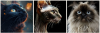 2025-03-21_010701.png