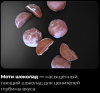 Новый рисунок (35).png