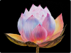 2025-04-28_001826.png