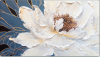 2025-04-28_001919.png