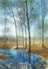 skrinsot-07-04-2025-175246_67f3e6ca532f7.jpg