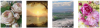 2025-05-01_14-42-53.png