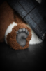 изображение_2025-05-05_040618329.png