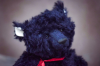 изображение_2025-05-08_204044421.png
