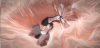 2PIC.png