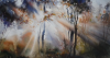 image54d9bca9d43af8340.png