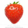 StrawberryLeadImage.jpg