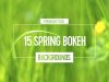 15-Spring-Bokeh-Backgrounds-01-480px.jpg