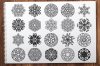 500-Vector-Mandala-Ornaments-02.jpg