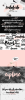 1 (7).png