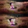 Enchanted_Photo_Overlays_preview_4.jpg