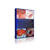 13.png