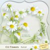 JasO_CU_Flowers_Vol_10_prew.jpg