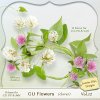 JasO_CU_Flowers_Vol_12_prew.jpg