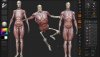 RK-AnatomyForDigitalSculptors-Course-480x274.jpg