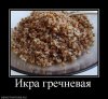 507168_ikra-grechnevaya.jpg