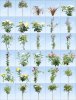 Pro-Viz-3D-Plants-07-For-Garden-Design.jpg