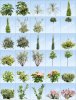 Pro-Viz-Plants-03-for-3D-rendering.jpg