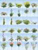 Pro-Viz-Plants-05-library-for-architectural-visualisations.jpg