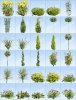 Pro-Viz-Plants-Xtreme-2-download.jpg