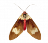 ee9691713f76.png