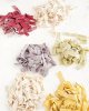 alina.pastry.chef_122176902_142514880910546_1470437712760947017_n.jpg
