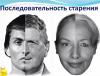 последовательность старения.png
