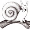 Snaily