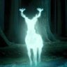 Patronus666