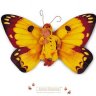 butterfly_anny