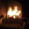 FireBrick
