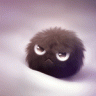 nonami